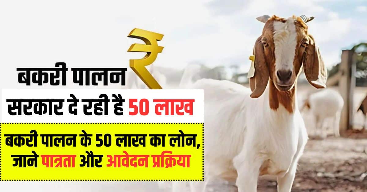 Rajasthan Bakri Palan Yojana 2024